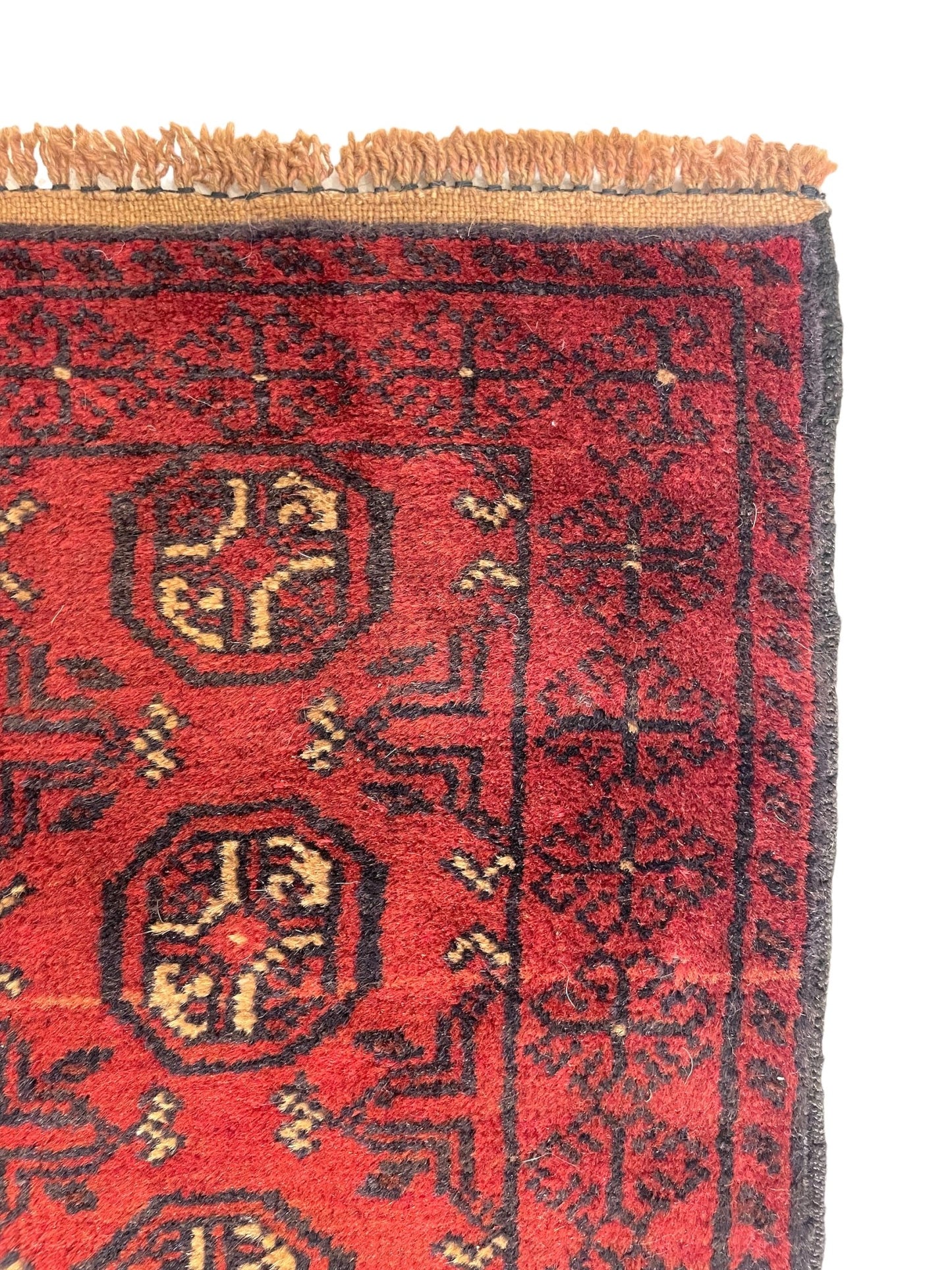 KASHF 100% Wool Prayer Rug by Asrār Collection 2'9" x 4'5"